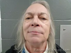 Mugshot of TERRI STONER