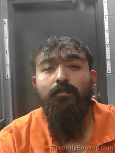 Mugshot of Guadalupe Ceballos Becerra