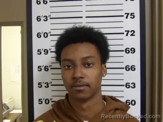 Mugshot of CAMERON BURKS