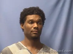 Mugshot of FABIAN WELLS