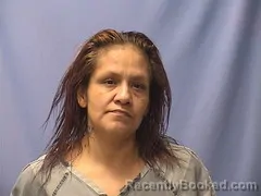 Mugshot of LOUISA ANGELES