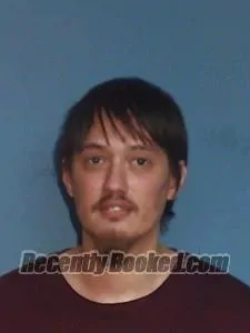 Booking photo from Lonoke County, Arkansas