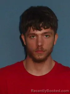 Mugshot of Jimmy Charles Walls