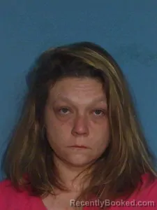 Booking photo from Lonoke County, Arkansas