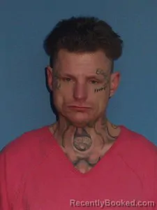 Booking photo from Lonoke County, Arkansas