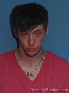 Booking photo from Lonoke County, Arkansas