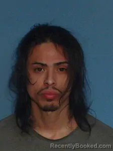 Mugshot of Aaron Louis Book