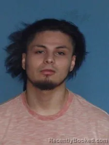 Mugshot of Gustavo ANGEL VILLATOROHERRERA