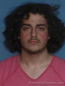 Mugshot of John J Wilson