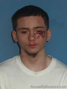 Booking photo from Lonoke County, Arkansas