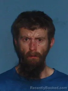 Mugshot of Jay DEE HENRY