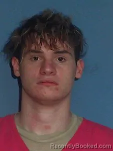 Mugshot of Daniel Harlen Sanders