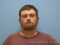 Mugshot of BRANDON LEE DAVIS