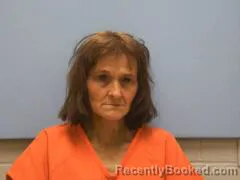 Mugshot of TINA C BREWER