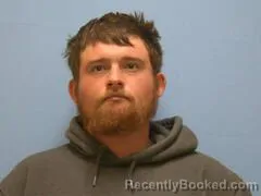 Mugshot of BRANDON LEE DAVIS