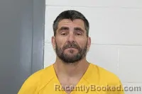 Mugshot of CARL HALLMAN