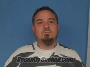 Booking photo from Newton County, Arkansas