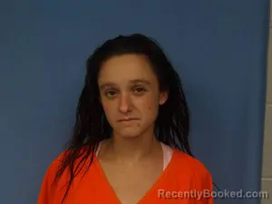 Mugshot of Sabrina Michelle Hudson