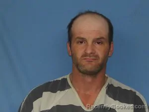 Booking photo from Newton County, Arkansas