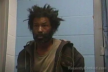 Mugshot of FRED JR MINOR