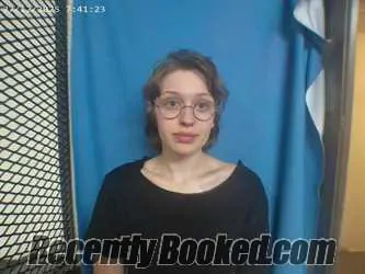 Booking photo from Polk County, Arkansas