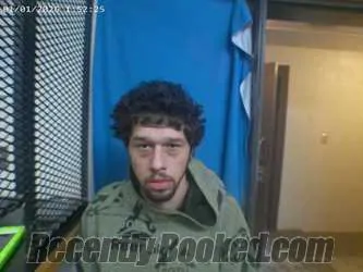 Booking photo from Polk County, Arkansas