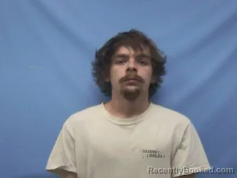 Mugshot of DYLAN WYATT WILLMS
