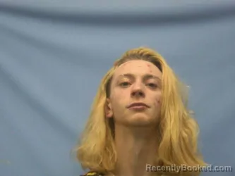 Mugshot of GARRETT ETHAN LINK FERGUSON