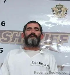 Mugshot of JONATHAN CULLUM