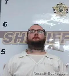 Mugshot of MARK ROBINSON