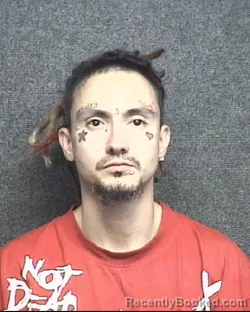 Mugshot of CHRISTOPHER SCOTT LENIHAN