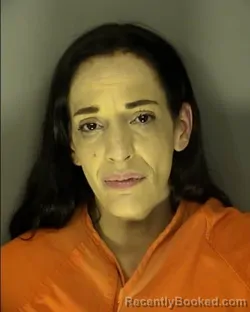 Mugshot of HEATHER THERESA STAYMAN