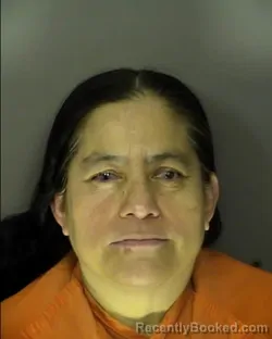 Mugshot of ELVA FLORENCIA CALIMA SALAS