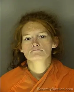 Mugshot of STORMIE DIAN PERTUSET