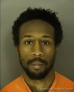 Mugshot of TERRENCE ADONIS QWENTAS HEMINGWAY