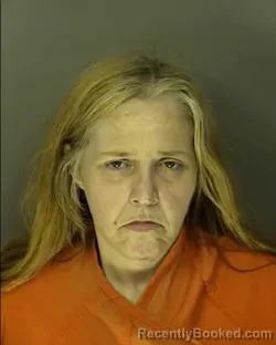 Mugshot of MICHELE DENISE COLLINS