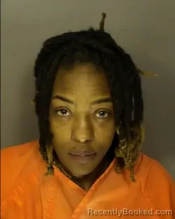 Booking photo from Horry County, South Carolina