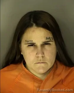 Booking photo from Horry County, South Carolina