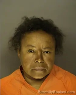 Booking photo from Horry County, South Carolina