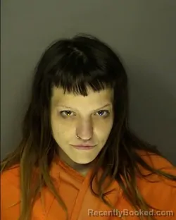 Mugshot of ALICIA SOBIESKI