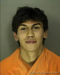 Mugshot of DANIEL CHASE HERRING