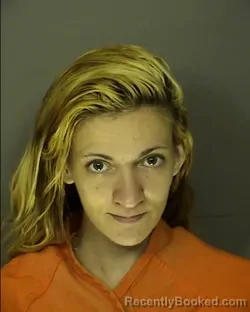 Mugshot of ASHLYN STARR POTTER