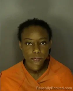 Mugshot of CHRISTINA MIKAYLA FRINK