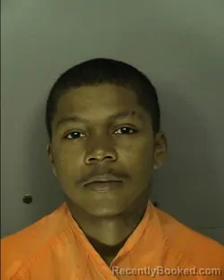 Mugshot of TERRY WILLIAMS