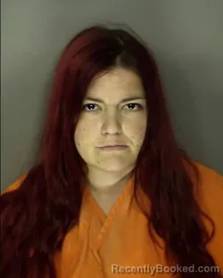 Booking photo from Horry County, South Carolina