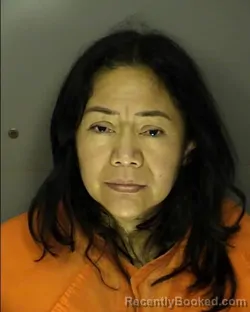Mugshot of FULGENCIA ROMERO HERNANDEZ