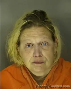 Mugshot of DEBRA ANN SHEA