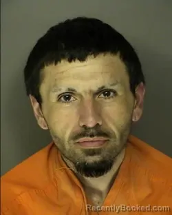 Mugshot of JUSTIN BLEASE BROWN