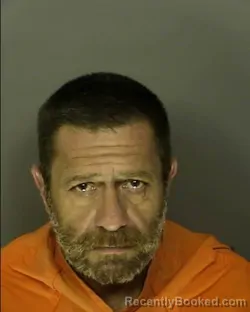 Mugshot of BRIAN WAYNE WALLACE