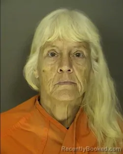 Mugshot of ELIZABETH ANN BOONE